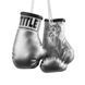 TITLE Boxing 3.5&rdquo; Mini Boxing Gloves (Silver)