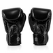Boxing gloves Fairtex BGV1-ONE, 10 oz