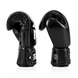 Boxing gloves Fairtex BGV1-ONE, 10 oz