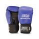 Boxing Gloves Sportko ПД1 Blue, 10 oz
