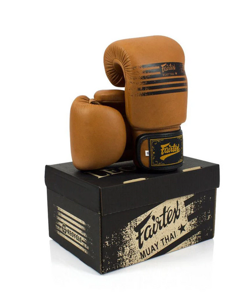 Boxing Gloves Fairtex "Legacy" Genuine BGV21, 10 oz