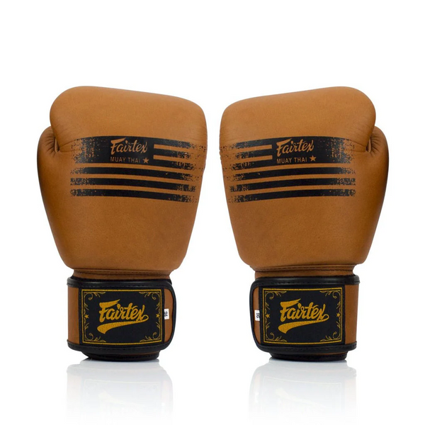 Boxing Gloves Fairtex "Legacy" Genuine BGV21, 10 oz