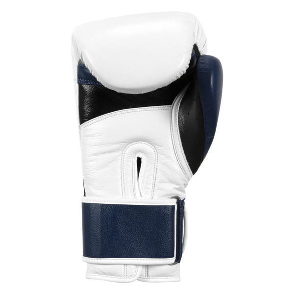 Fighting Force Leather Boxing Gloves, 12 oz