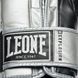 Leone Nexplosion Boxing Gloves Silver, 10 oz