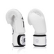 Boxing gloves Fairtex BGV1-ONE / White, 10 oz